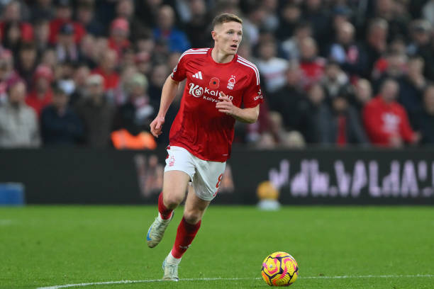 向我们展示 向我们展示