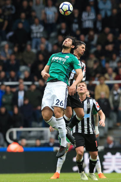 灰熊夹击的 灰熊夹击的